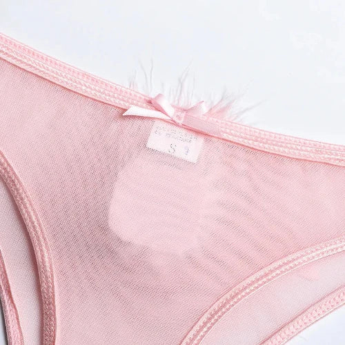 Exotic Feather/Lace Transparent Lingerie Set - Sexy Intimate Luxury See-Through Underwear for Women - Pants Detail
